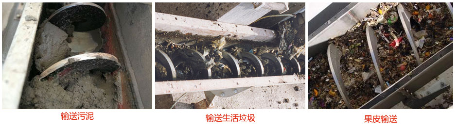 无轴绿巨人app下载输送污泥，生活垃圾，果皮等使用现场