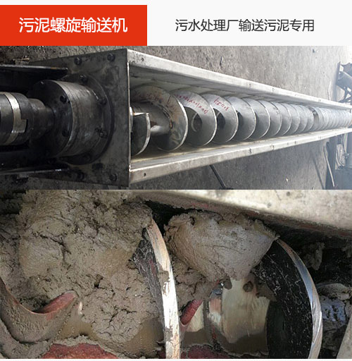 污泥绿巨人app下载水平/倾斜输送，污水厂输送污泥专用设备。