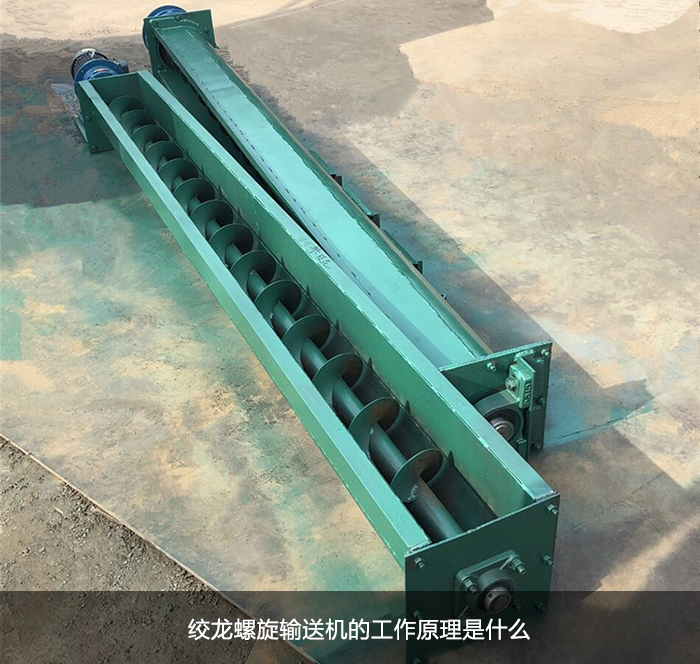 蛟龙绿巨人app下载图片
